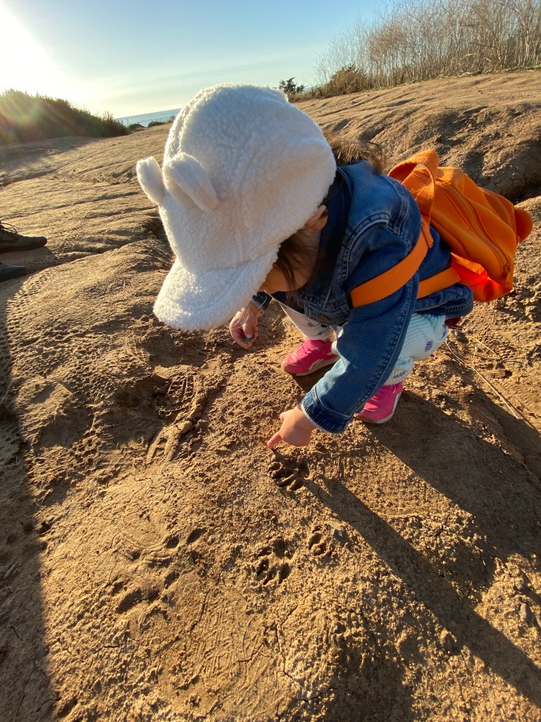 Little One explores the natural world